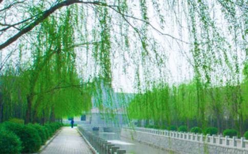 ͨ����������ľ��ӅR��31��