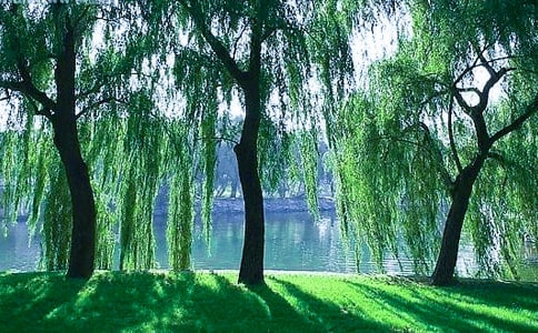 ���x��������ľ���47��