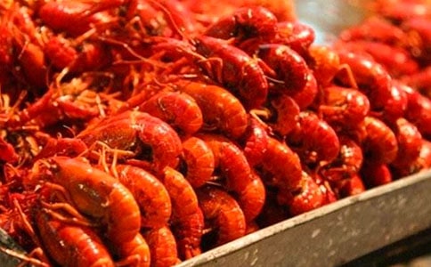 釣龍蝦作文通用(15篇)