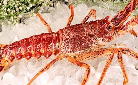 ����r����ͨ��15ƪ