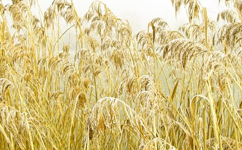 �����һ����˼���ȵ��JȔ����