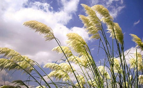 ����c�JȔ����