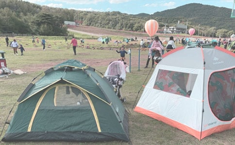 精選露營作文4篇