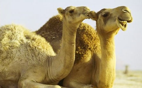 16�����񄡷�ڶ��n�r(sh��)