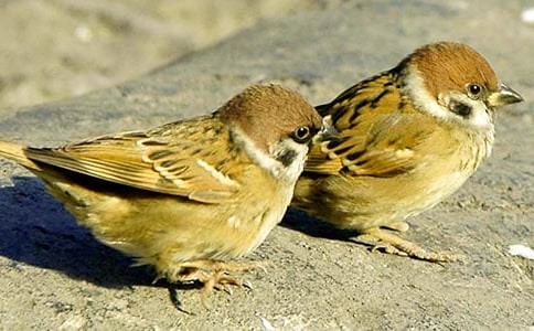 ���o(h��)��ȸ������