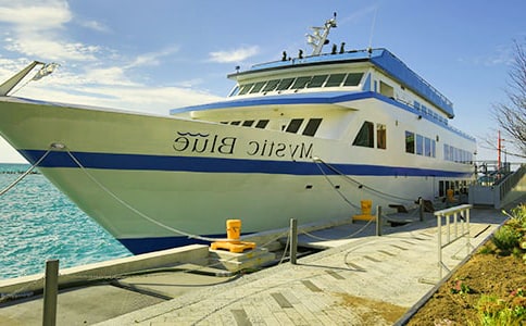 �a�^��(sh��)��(x��)��(b��o)����ƪ