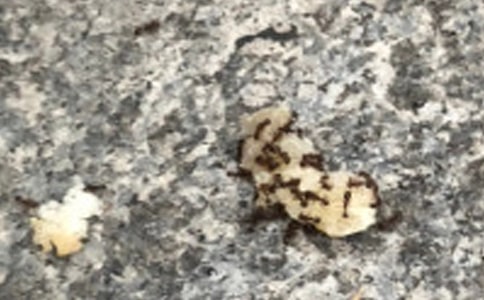 С���w����ӽ̰���Λρ�\�Z