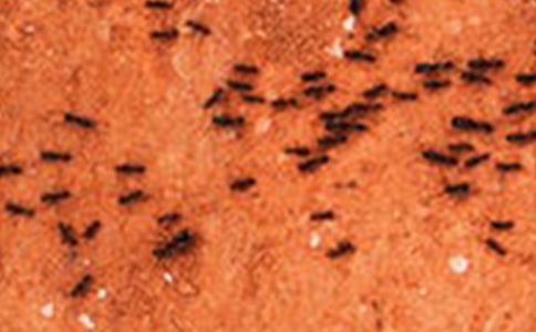 �^��Λρ�Ć�ʾ����