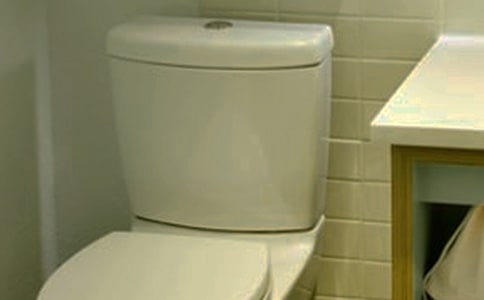 細(xì)菌讓污水也能發(fā)電 馬桶穢物可能提供照明電