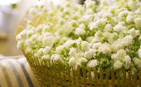 �M��������