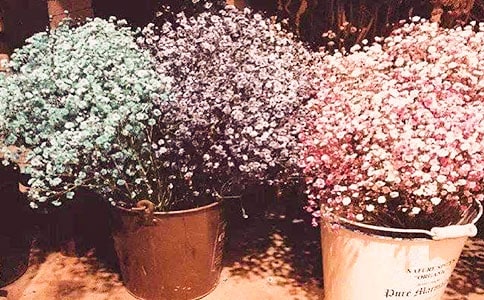 ����M���ǹ�����