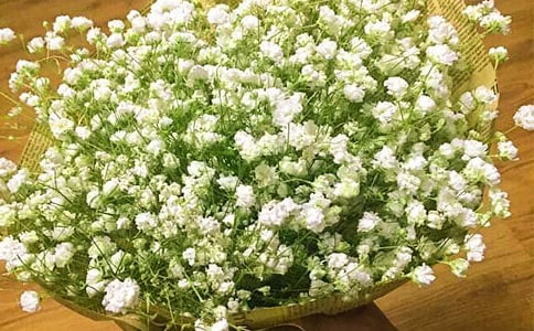 ����M(m��n)���ǹ�����13ƪ[���A]