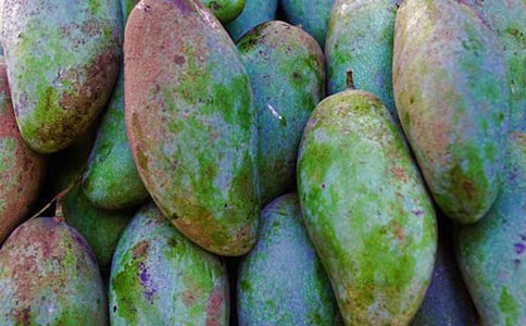 ��Bâ�������ąR����2ƪ��