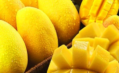 我喜歡芒果作文