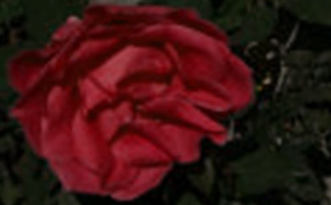 �茑õ�廨��(y��u)�����ģ����x3ƪ��