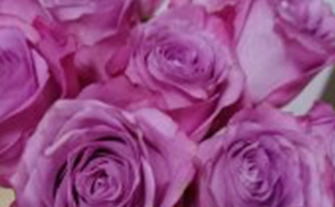 授人玫瑰手留余香作文(通用31篇)