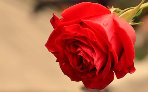 ����õ������