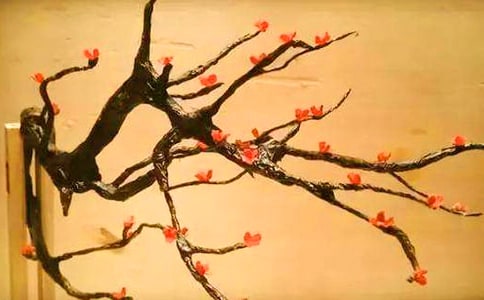 ���P(gu��n)����÷���ľ���49�l