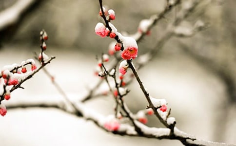 ����÷�����ǵľ���