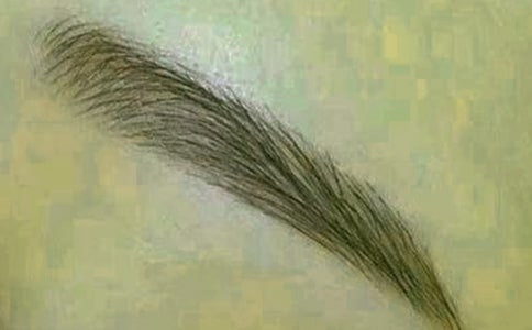 描寫眉毛的句子