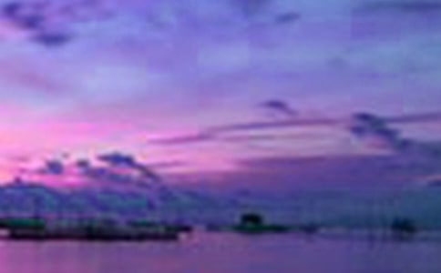 �l(xi��ng)�������ľ���