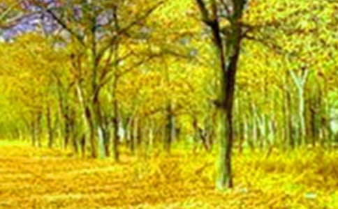 �������������