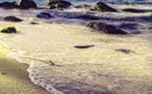 身邊的美景作文15篇