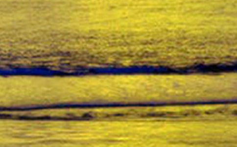 �茑����������