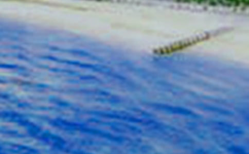 描寫雨后美景的句子