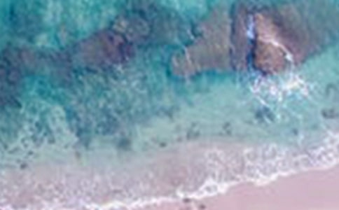 �����е���������(���x15ƪ)