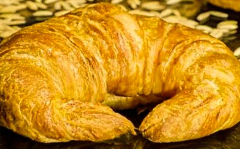 我的“面包”-狀物作文