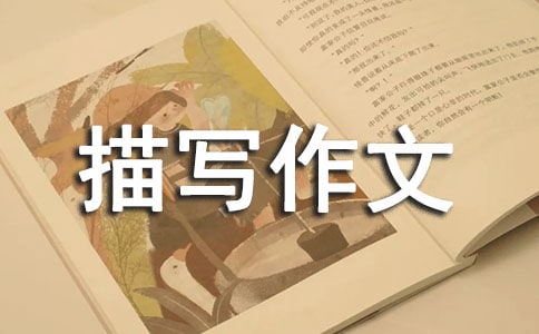 Ф���茑����600��