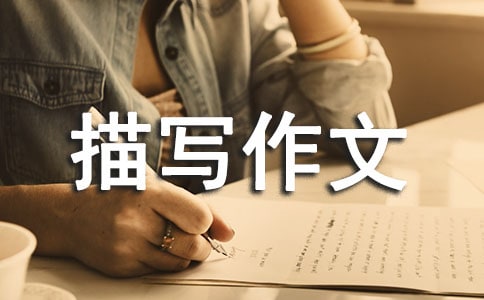 細節(jié)描寫作文范文