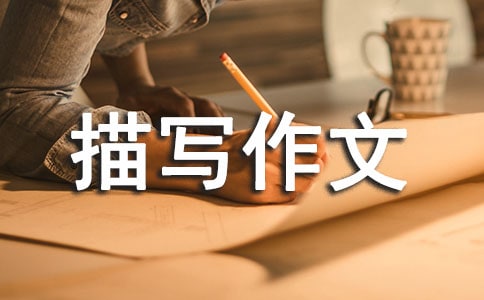 初三人物描寫作文匯編10篇