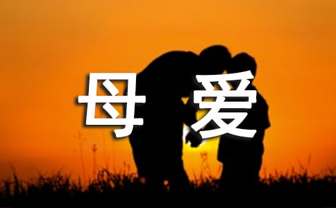母愛無價優(yōu)秀作文