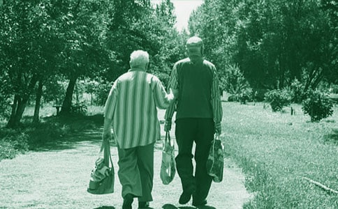 描寫奶奶的作文