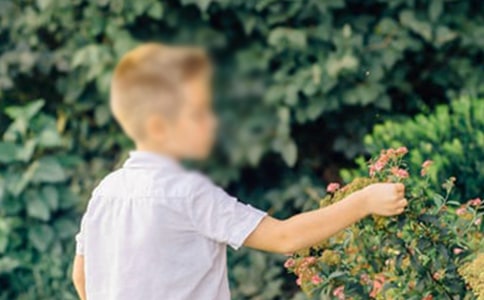 �ǂ�(g��)�к�����