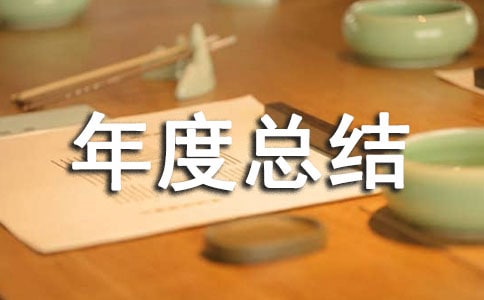 個(gè)人年度總結(jié) 2篇