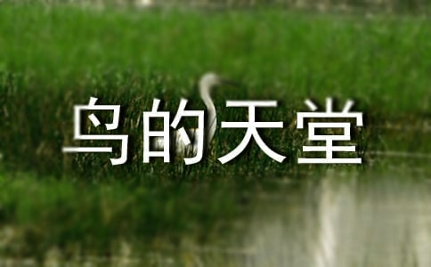 六年級(jí)語文教案鳥的天堂(通用7篇)