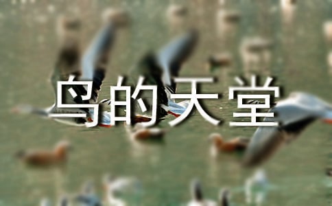 六年級語文教案鳥的天堂(7篇)