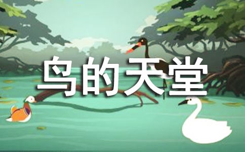 小學語文《鳥的天堂》的教案設計