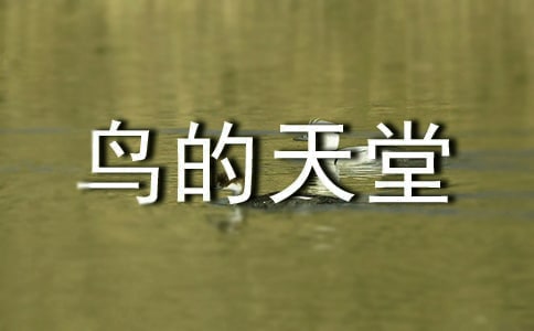 《鳥的天堂》語(yǔ)文教案(精選17篇)