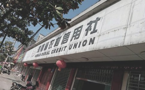 農(nóng)村信用社述職報告10篇