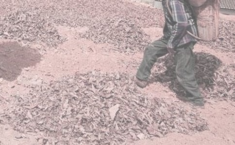 �茑(xi��)�ڵ�����r(n��ng)��ľ���