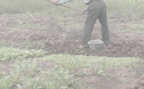 ���r(n��ng)������500�֣����x32ƪ��