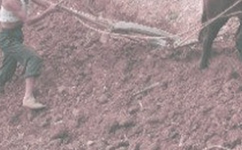 ���r(n��ng)������