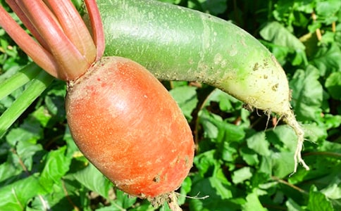 �r(n��ng)�Ҙ�(l��)���ľ��x15ƪ