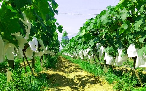 �r(n��ng)�Ҙ�����15ƪ