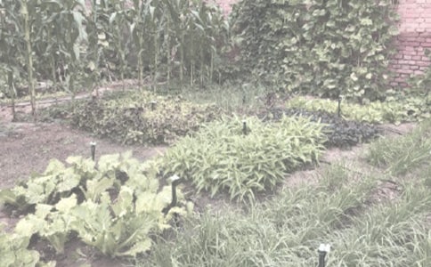 �r(n��ng)����N�����a(ch��n)��ͬ