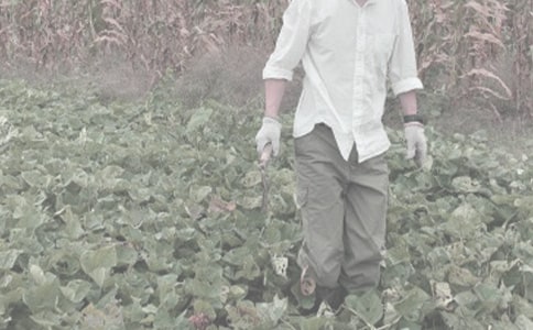 ���P(gu��n)�r(n��ng)����N��ͬ4ƪ